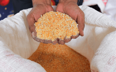 Animal Feed